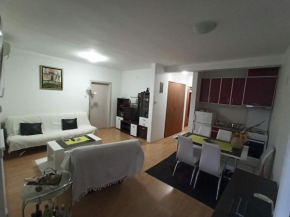 Apartman Savić